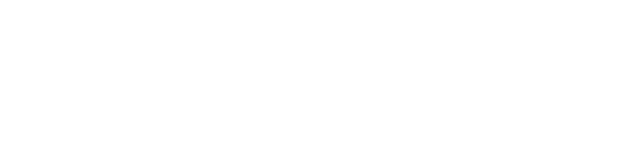 Saneo Logo